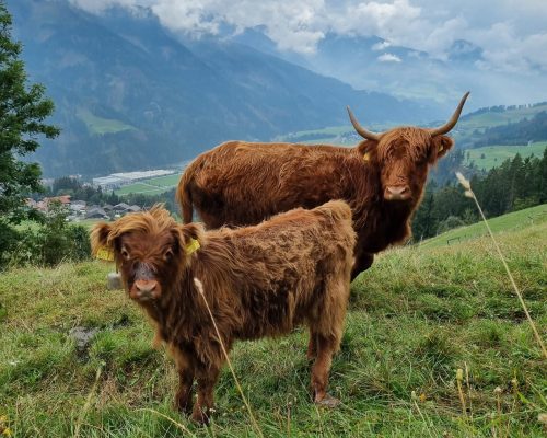 20230913_152341 20230913_152341