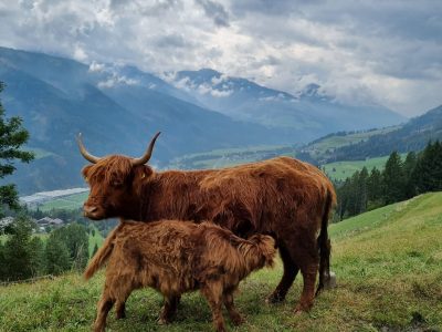 3f9bc780-b2b6-49aa-8c7e-fa081ed7dca4 3f9bc780-b2b6-49aa-8c7e-fa081ed7dca4