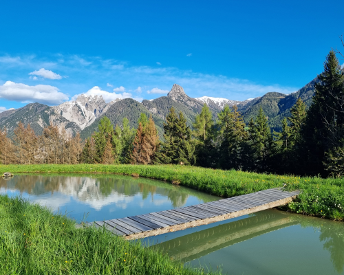 20230515_182713 20230515_182713