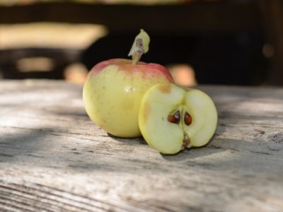 thumbnail_DSC_3025-1