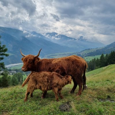 3f9bc780-b2b6-49aa-8c7e-fa081ed7dca4 3f9bc780-b2b6-49aa-8c7e-fa081ed7dca4